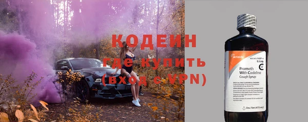 ПСИЛОЦИБИНОВЫЕ ГРИБЫ Верея