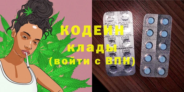 ПСИЛОЦИБИНОВЫЕ ГРИБЫ Верея