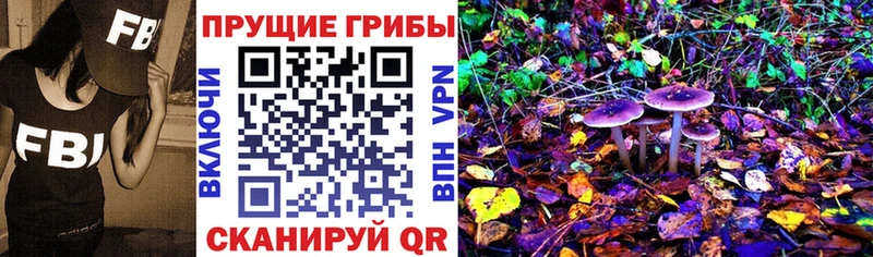 Псилоцибиновые грибы GOLDEN TEACHER  ссылка на мегу сайт  Вязники 